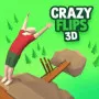 Crazy Flips 3D