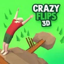 Crazy Flips 3D